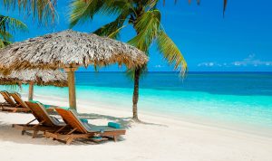 Tropical beach with chairs and palm trees.