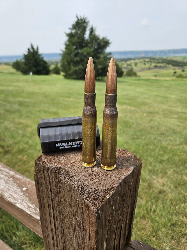 Two bullets on a wooden post outdoors.